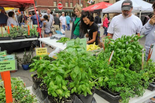 HaymarketFarmersMarket_8.4.12_200