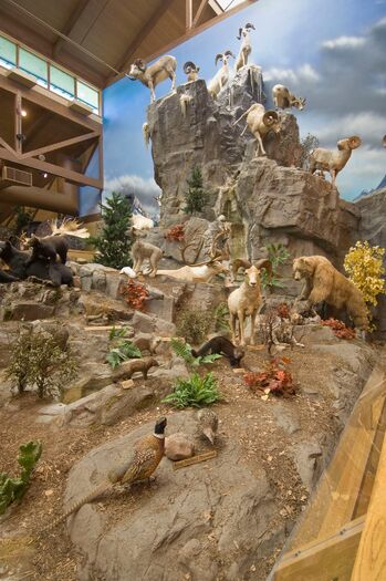 Cabelas_Sidney2008_06