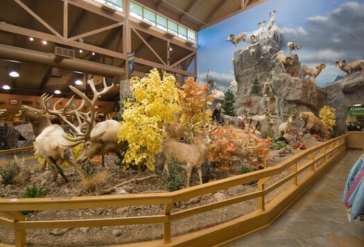 Cabelas_Sidney2008_04