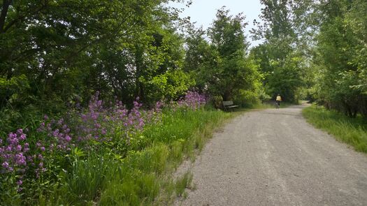 SteamboatTrace_5.09_02