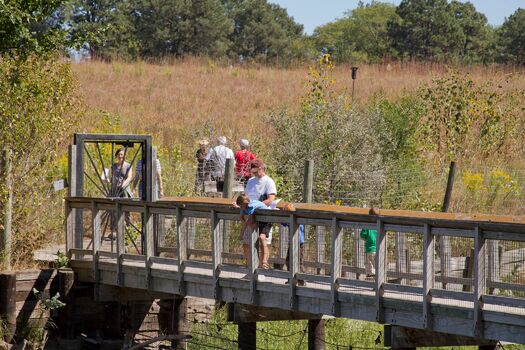 PioneerParkNatureCenter9.12_NathanRogers_015