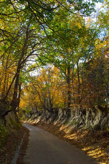 IndianCave_FallColor_004