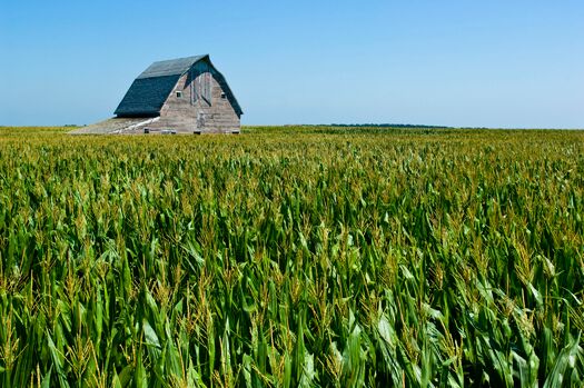 CornBarn_WestOfHwy15_09