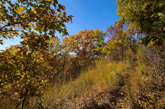 IndianCave_FallColor_174