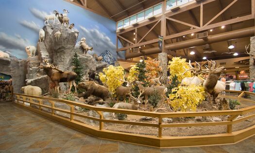 Cabelas_Sidney2008_02