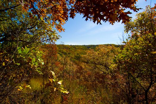 IndianCave_FallColor_147