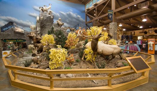 Cabelas_Sidney2008_01