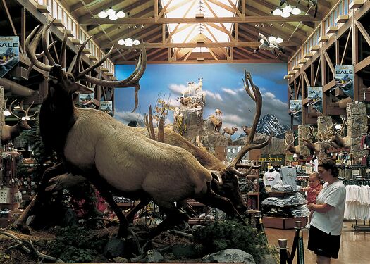 Cabelas03_JNabb