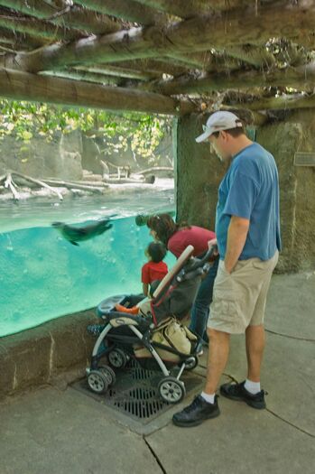 LincChildZoo_Otters_08