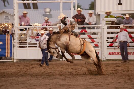 BurwellBigOneRodeo_7.26.12_0948