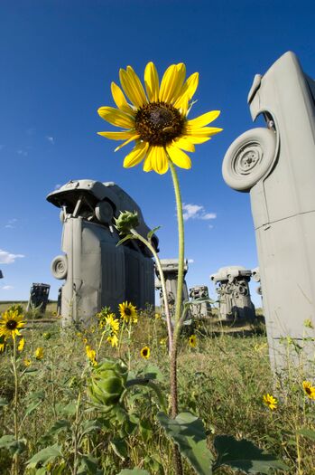 Carhenge_8.09_08