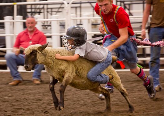 NEStateFair_8.31.11_1340