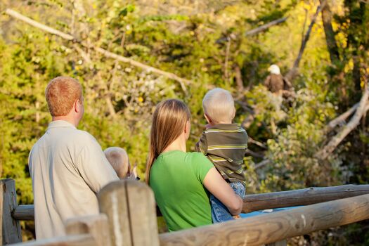 WSP_Eagle_Aviary_-_Family