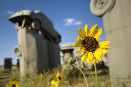 Carhenge_8.09_01