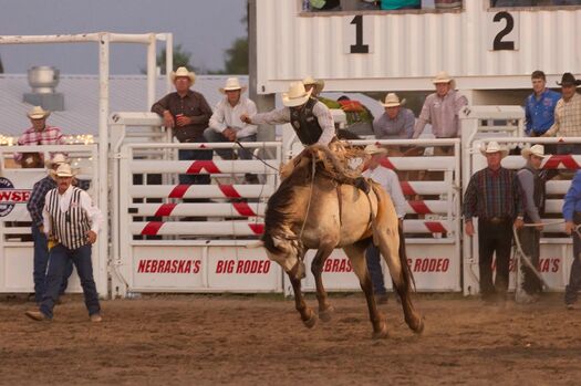 BurwellBigOneRodeo_7.26.12_0944