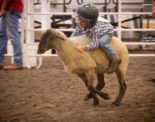 NEStateFair_8.31.11_1294