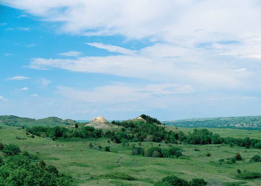 Old_Baldy_MForsberg