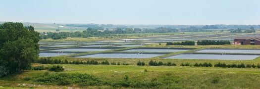 CalamusReservoir_Fishery_03