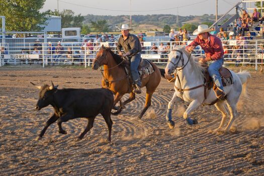 BurwellBigOneRodeo_7.26.12_0525