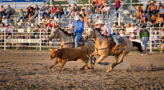 BurwellBigOneRodeo_7.26.12_0560