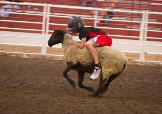 NEStateFair_8.31.11_1283