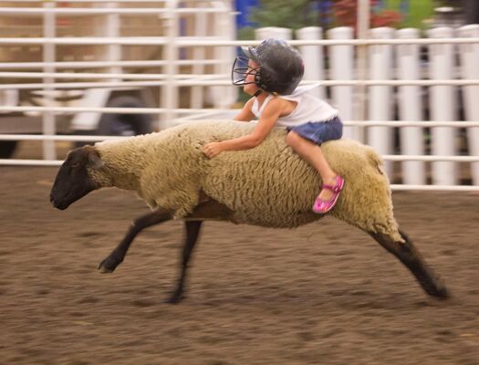 NEStateFair_8.31.11_1467