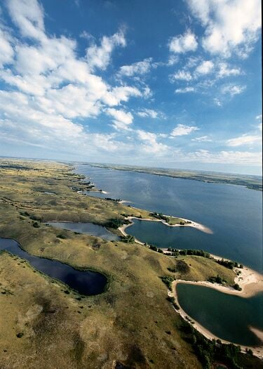 Calamus_Aerial_JNabb