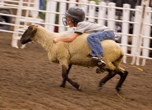 NEStateFair_8.31.11_1233