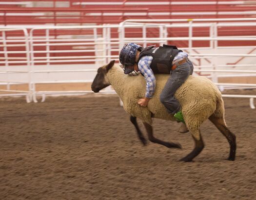 NEStateFair_8.31.11_1195