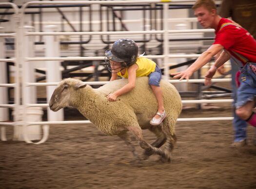 NEStateFair_8.31.11_1446