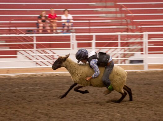 NEStateFair_8.31.11_1201