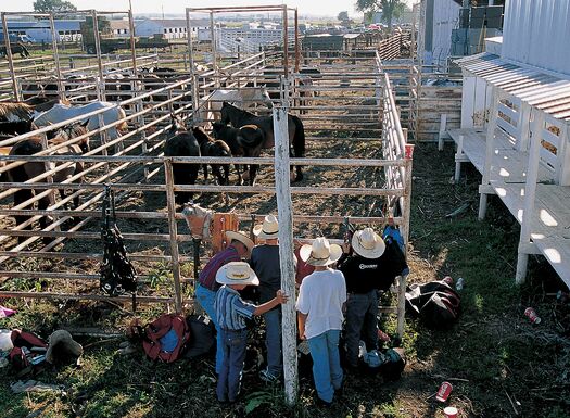 Burwell_Rodeo04_MForsberg