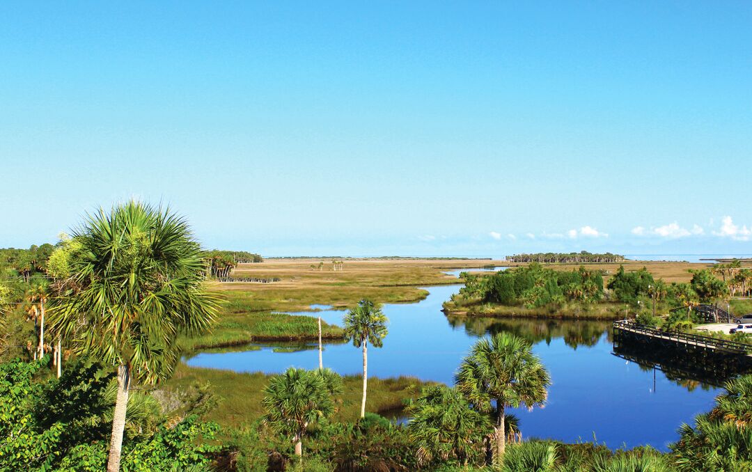 Gulf of Mexico View from Linda Pedersen TowerView from Linda Pedersen Tower, Weeki Wachee