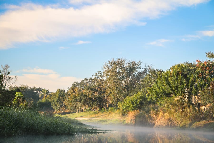 Phillippi Creek