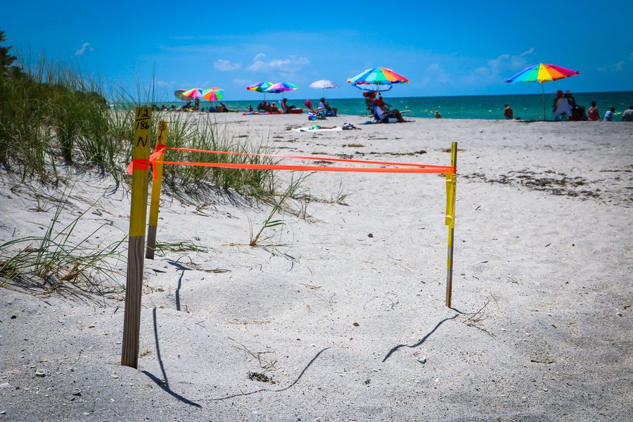 Blind Pass Park Beach