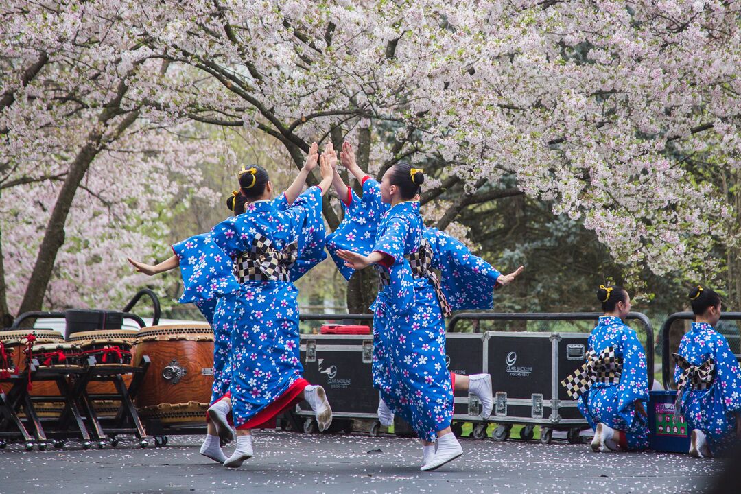 Cherry Blossom Festival