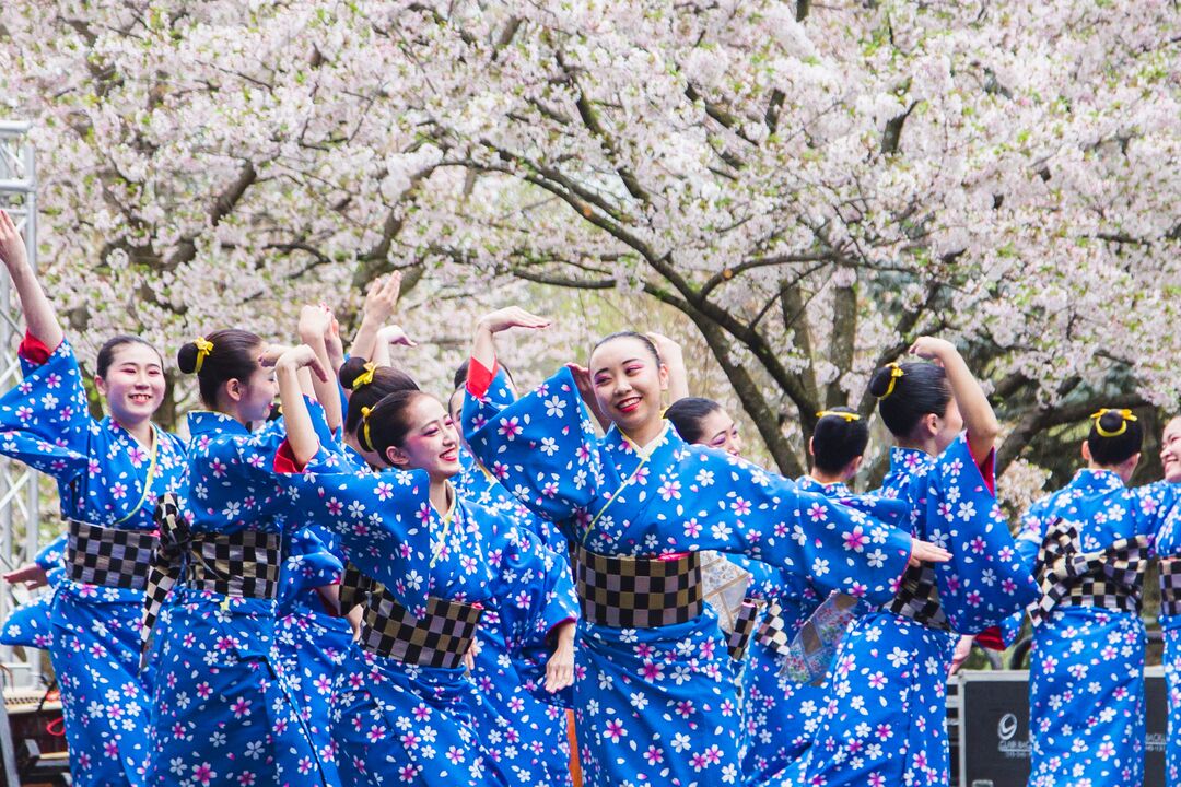 Cherry Blossom Festival