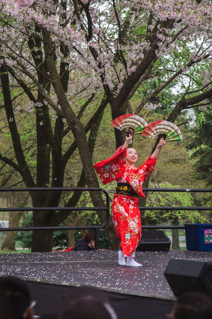 Cherry Blossom Festival