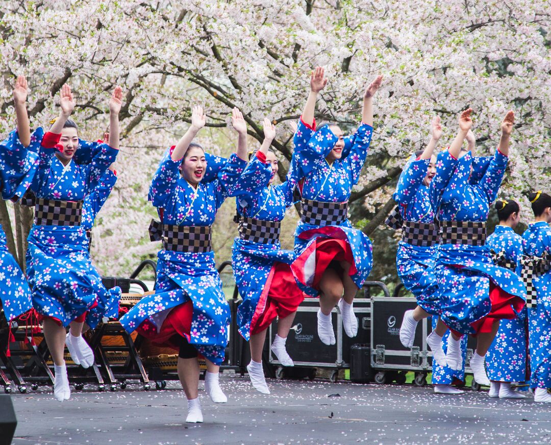 Cherry Blossom Festival