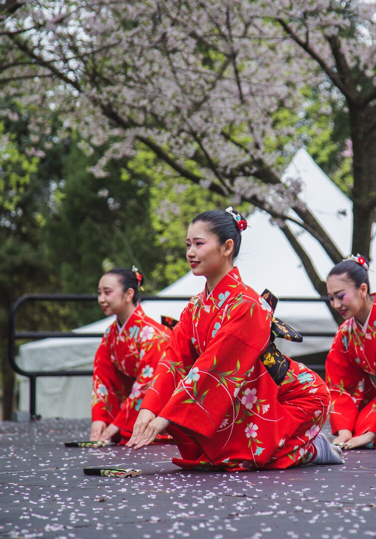 Cherry Blossom Festival