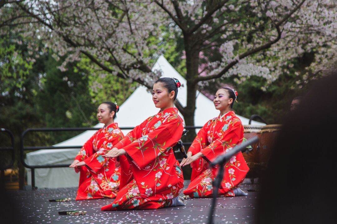 Cherry Blossom Festival