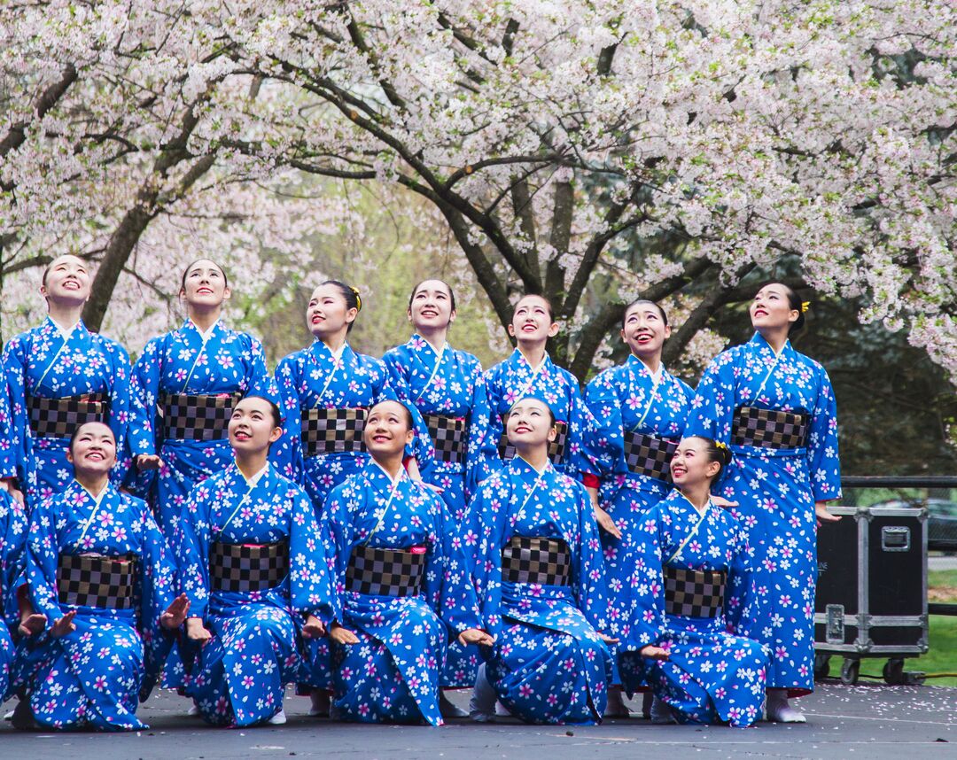 Cherry Blossom Festival