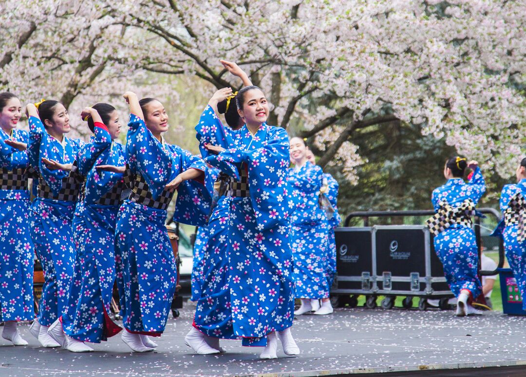 Cherry Blossom Festival