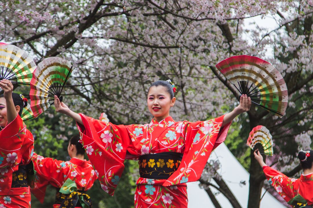 Cherry Blossom Festival