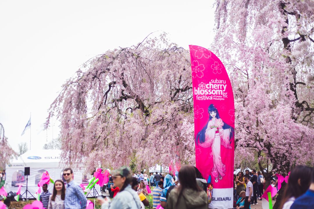 Cherry Blossom Festival