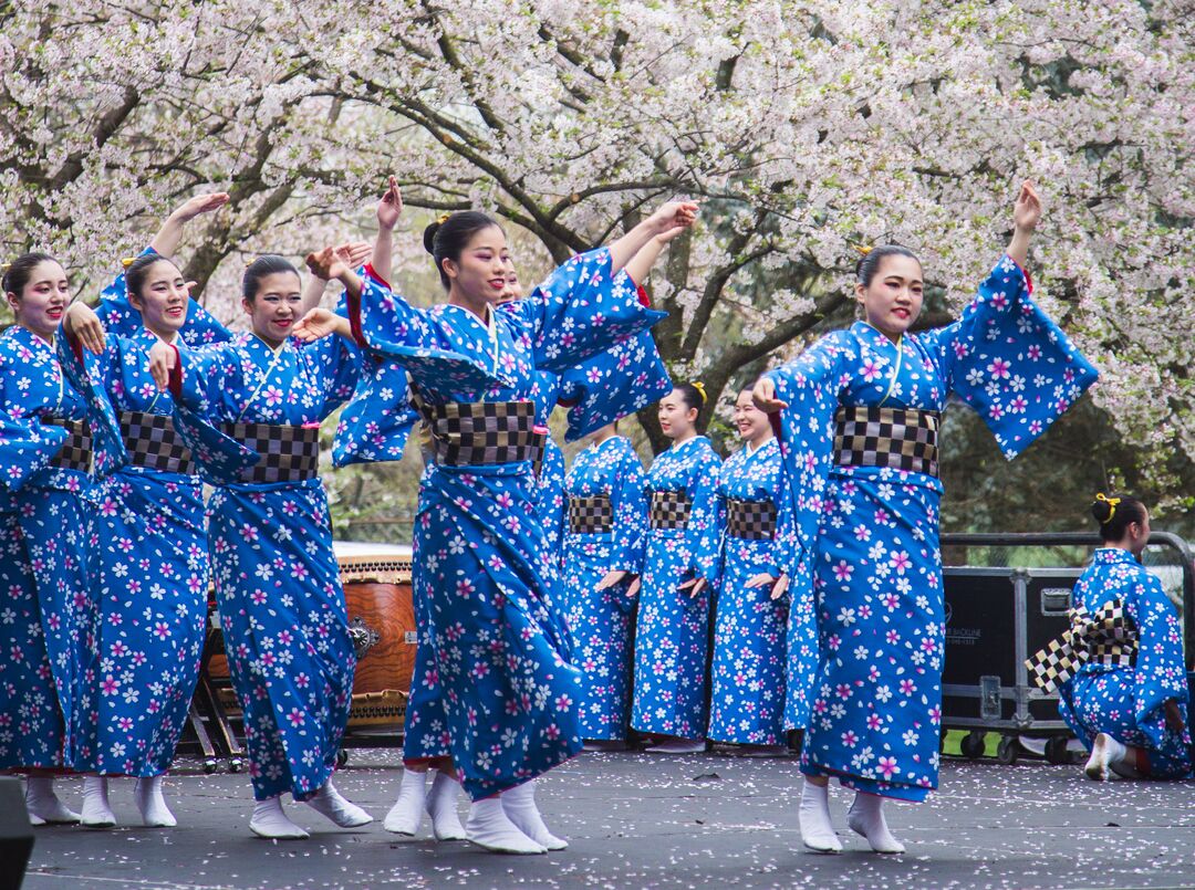 Cherry Blossom Festival