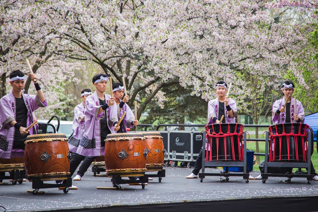 Cherry Blossom Festival