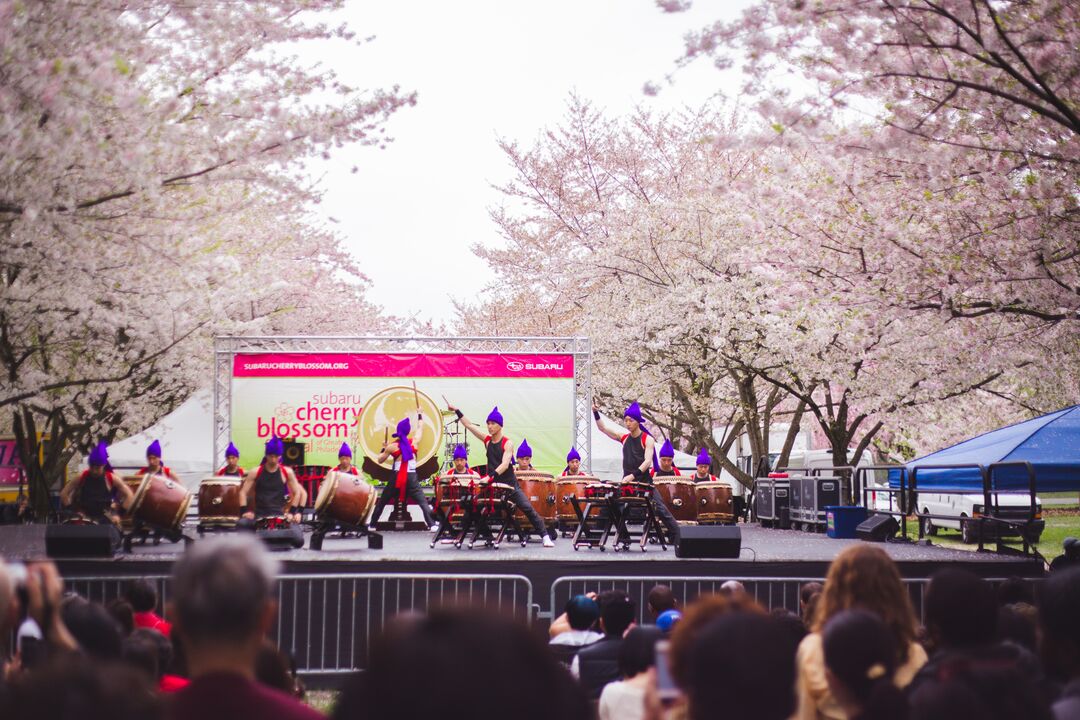 Cherry Blossom Festival