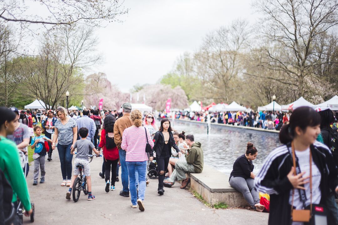 Cherry Blossom Festival