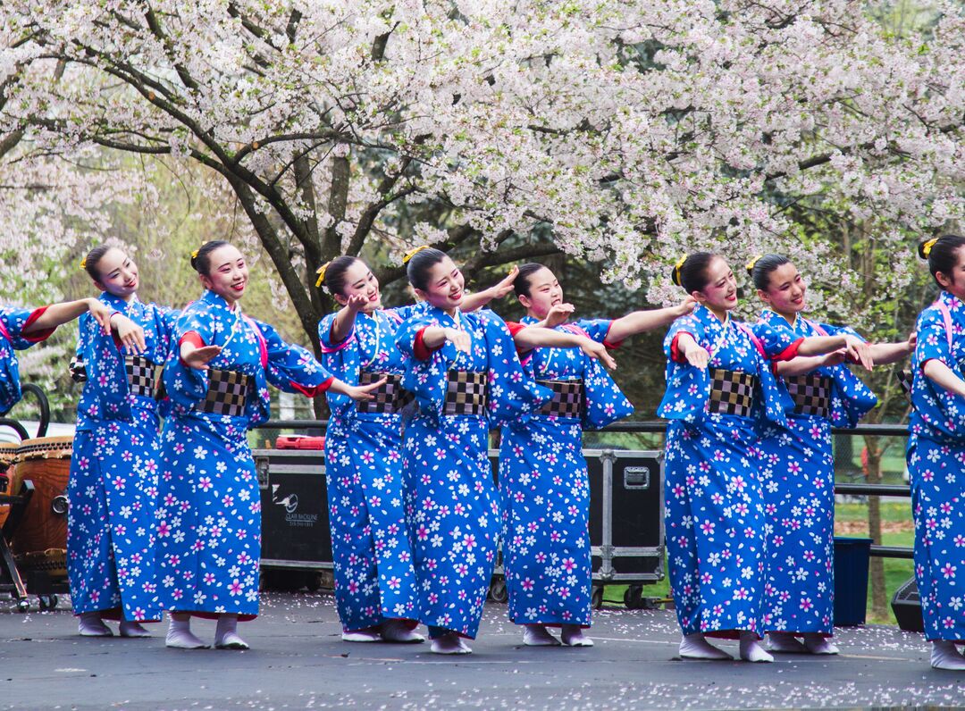 Cherry Blossom Festival